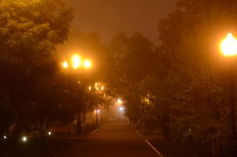 DSC_9070 .jpg