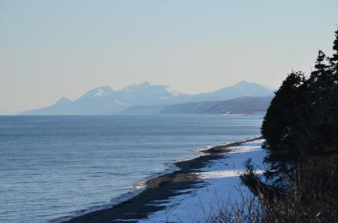 DSC_9430.JPG