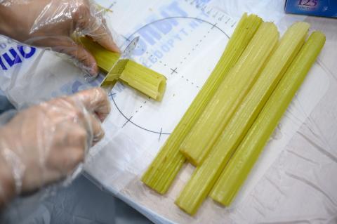 KR1_3634-230610.jpg-RIA NOVOSTI.jpg