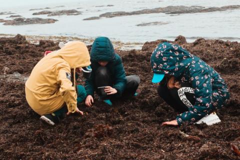 WhatsApp Image 2021-07-01 at 15.25.24 (1).jpeg