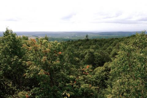 WhatsApp Image 2021-08-16 at 17.29.31.jpeg