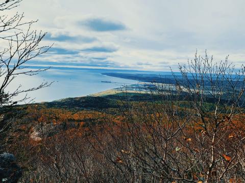 WhatsApp Image 2021-10-20 at 11.41.18.jpeg