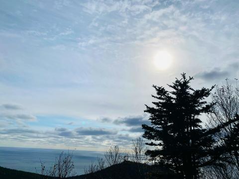 WhatsApp Image 2021-10-20 at 11.41.20 (1).jpeg