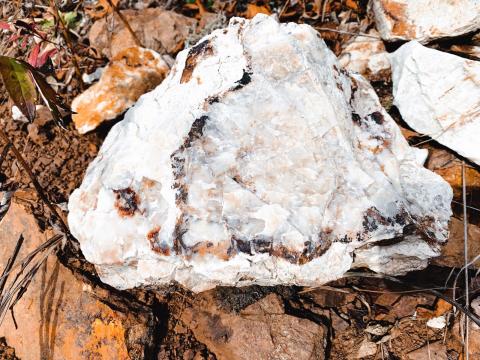 WhatsApp Image 2021-10-20 at 11.41.21.jpeg