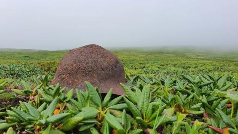 WhatsApp Image 2023-05-12 at 15.48.14 (1).jpeg