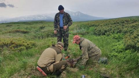 WhatsApp Image 2023-05-12 at 15.48.15 (1).jpeg