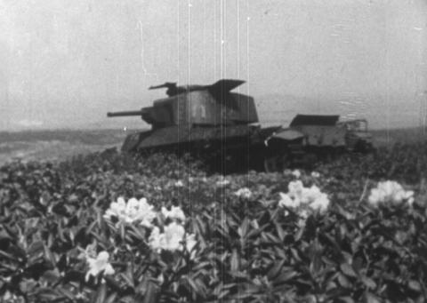 WhatsApp Image 2023-05-12 at 15.48.56.jpeg