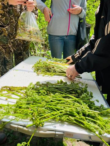 WhatsApp Image 2023-05-30 at 10.55.19 (1).jpeg