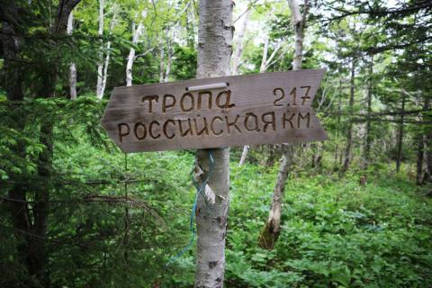 WhatsApp Image 2023-06-08 at 10.13.03.jpeg