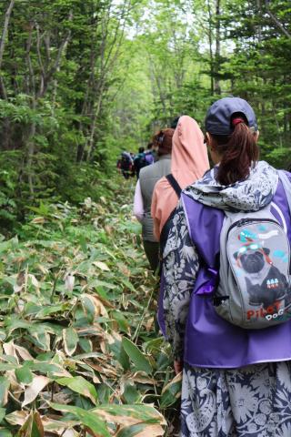 WhatsApp Image 2023-06-08 at 10.13.03_0.jpeg