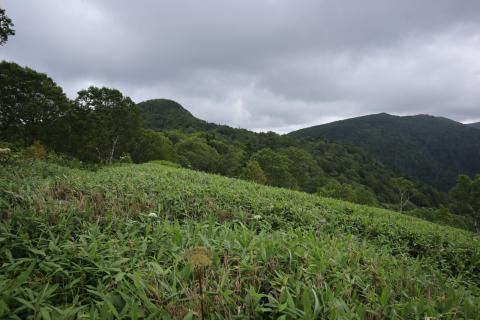 WhatsApp Image 2023-06-08 at 10.13.05.jpeg