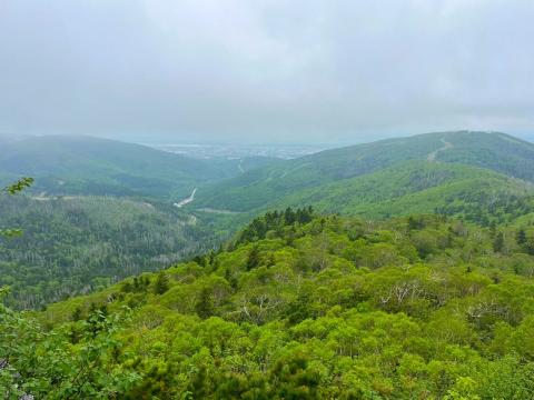 WhatsApp Image 2023-06-14 at 10.18.15 (1).jpeg