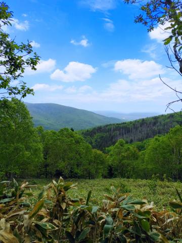 WhatsApp Image 2023-06-14 at 10.18.15 (2).jpeg