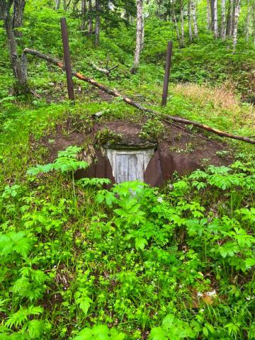 WhatsApp Image 2023-06-19 at 16.12.37 (1).jpeg