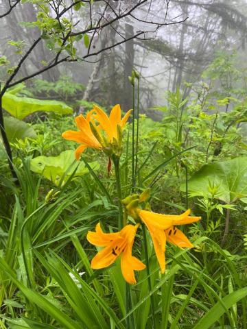 WhatsApp Image 2023-06-19 at 16.12.38.jpeg