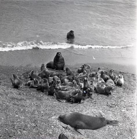 WhatsApp Image 2023-07-04 at 18.12.02.jpeg