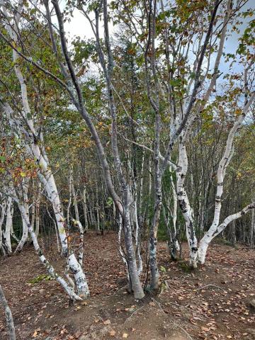 photo1696822991 (1).jpeg