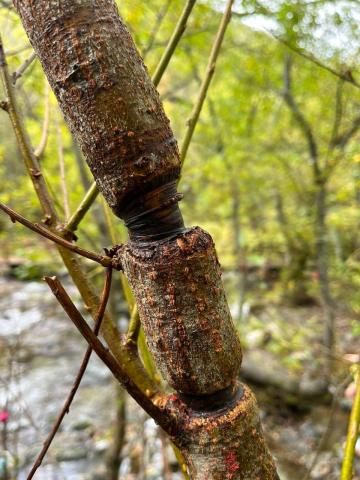 photo1696822991 (2).jpeg