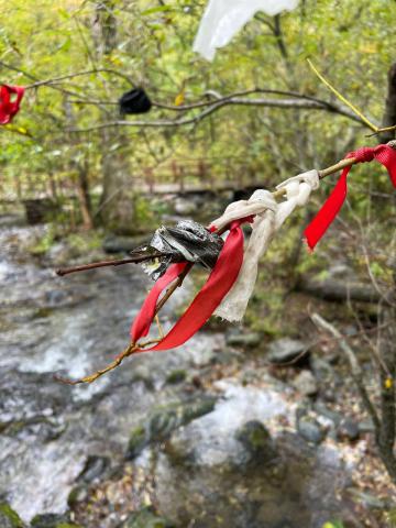 photo1696822991 (4).jpeg