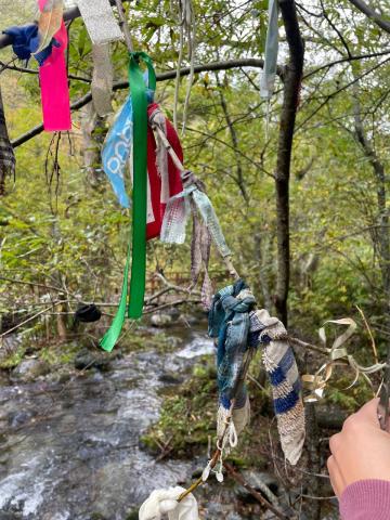 photo1696822991 (6).jpeg