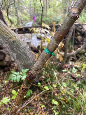 photo1696822991 (7).jpeg