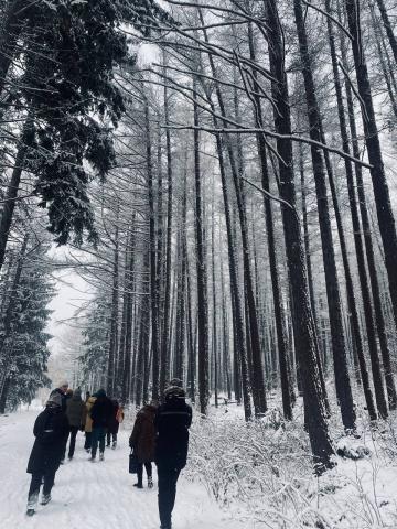 photo1701128646 (6).jpeg