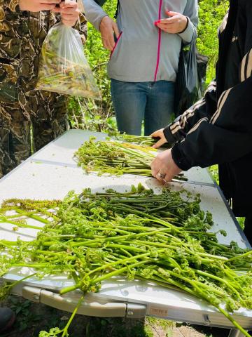 photo1716172461 (1).jpeg