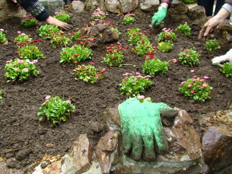 DSC05459_0.jpg DSC05459_0.jpg