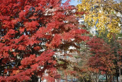 DSC_3135_0.jpg DSC_3135_0.jpg
