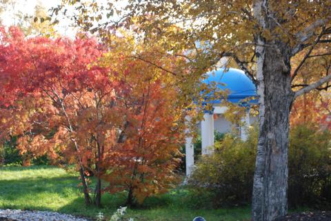 DSC_3136_0.jpg DSC_3136_0.jpg