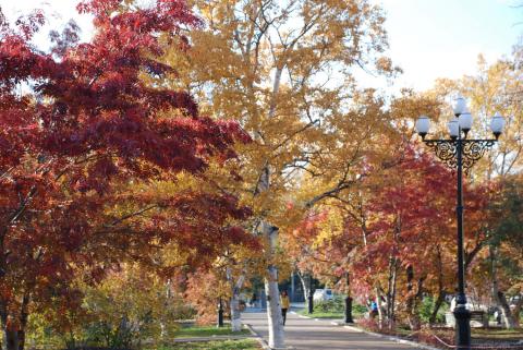 DSC_3140_0.jpg DSC_3140_0.jpg