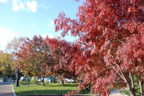 DSC_3145_0.jpg DSC_3145_0.jpg