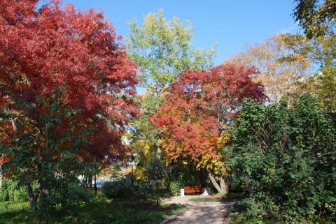DSC_3152_0.jpg DSC_3152_0.jpg