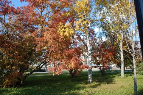 DSC_3157_0.jpg DSC_3157_0.jpg