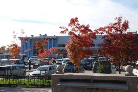 DSC_3165_0.jpg DSC_3165_0.jpg