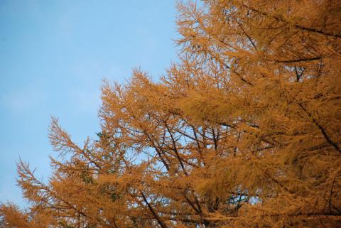 DSC_3258_0.jpg DSC_3258_0.jpg