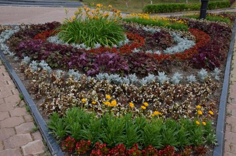 DSC_5665_0.jpg DSC_5665_0.jpg