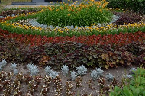 DSC_5666_0.jpg DSC_5666_0.jpg