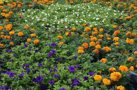 DSC_5720_0.jpg DSC_5720_0.jpg
