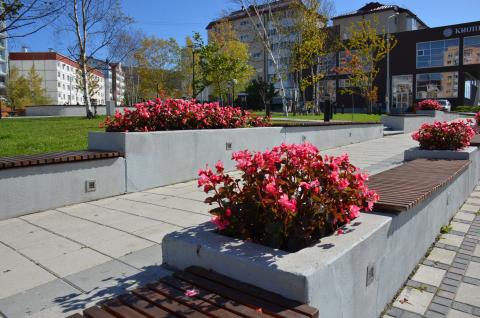 DSC_6175.jpg DSC_6175.jpg