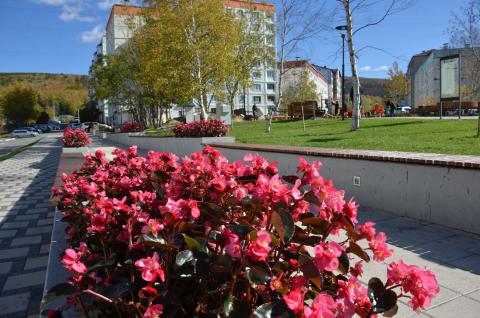 DSC_6176_0.jpg DSC_6176_0.jpg