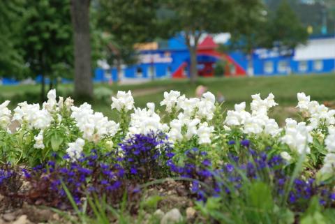 DSC_6647_0.jpg DSC_6647_0.jpg