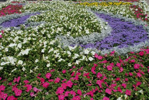 DSC_6873_0.jpg DSC_6873_0.jpg