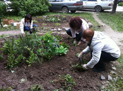 IMG_0781_0.jpg IMG_0781_0.jpg
